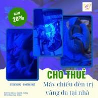 Cho thuê máy chiếu đèn trị vàng da tại nhà