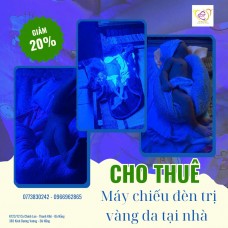 Cho thuê máy chiếu đèn trị vàng da tại nhà